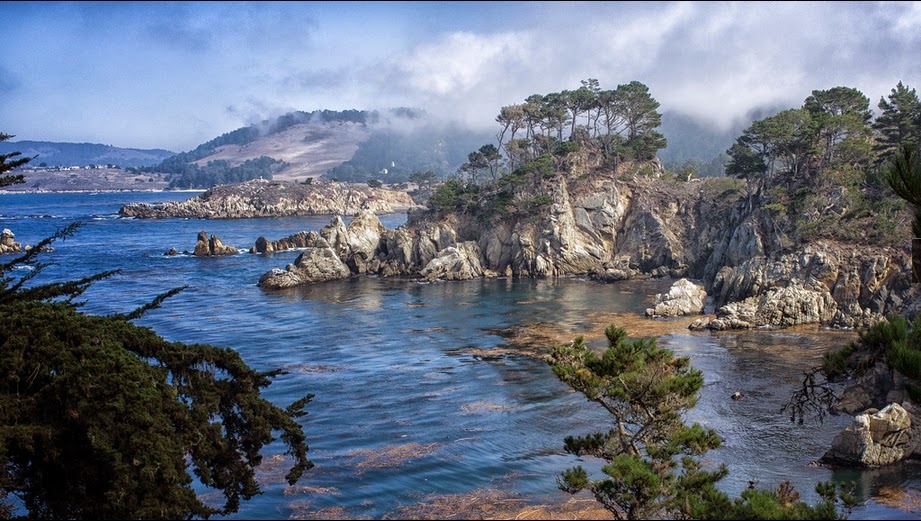 Kayaking through the kelp forest at Pebble Beach
